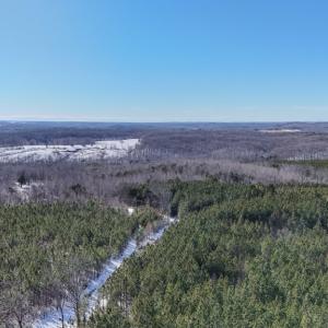 Photo #4 of 5343 Deer Run Road, Farmville, VA 45.2 acres