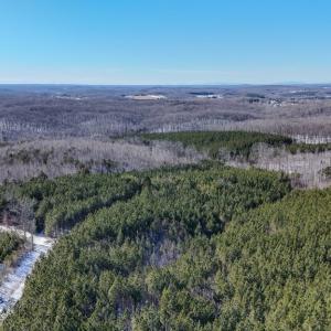 Photo #9 of 5343 Deer Run Road, Farmville, VA 45.2 acres