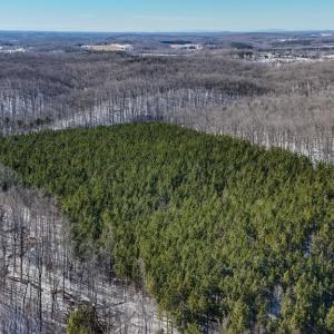 Photo #11 of 5343 Deer Run Road, Farmville, VA 45.2 acres