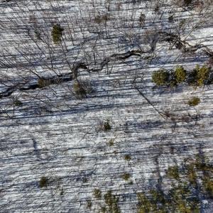 Photo #13 of 5343 Deer Run Road, Farmville, VA 45.2 acres