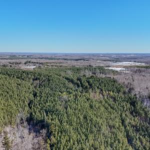 Photo #17 of 5343 Deer Run Road, Farmville, VA 45.2 acres