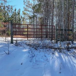 Photo #21 of 5343 Deer Run Road, Farmville, VA 45.2 acres