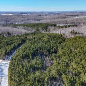 Photo #5 of 5343 Deer Run Road, Farmville, VA 45.2 acres