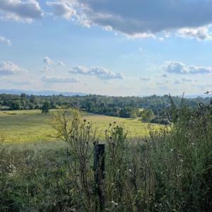 Photo #4 of ATKINS DRIVE, LURAY, VA 31.7 acres