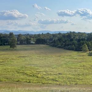Photo #7 of ATKINS DRIVE, LURAY, VA 31.7 acres