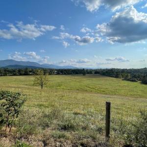 Photo #8 of ATKINS DRIVE, LURAY, VA 31.7 acres