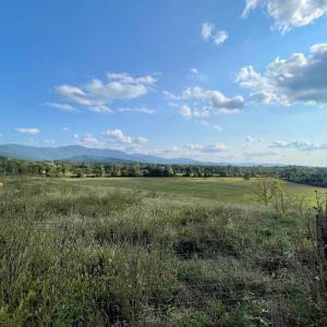 Photo #3 of ATKINS DRIVE, LURAY, VA 31.7 acres