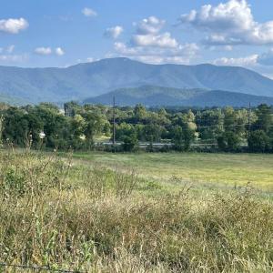 Photo #1 of ATKINS DRIVE, LURAY, VA 31.7 acres