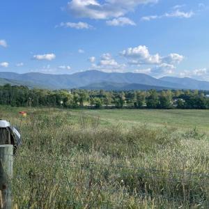 Photo #5 of ATKINS DRIVE, LURAY, VA 31.7 acres