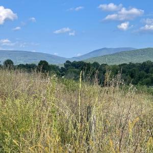 Photo #6 of ATKINS DRIVE, LURAY, VA 31.7 acres