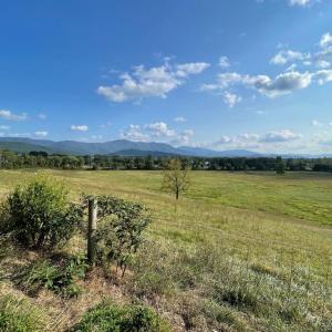 Photo #9 of ATKINS DRIVE, LURAY, VA 31.7 acres