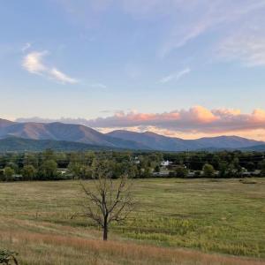 Photo #2 of ATKINS DRIVE, LURAY, VA 31.7 acres