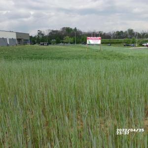 Photo #4 of 850 SHENANDOAH VILLAGE DR, WAYNESBORO, VA 0.7 acres