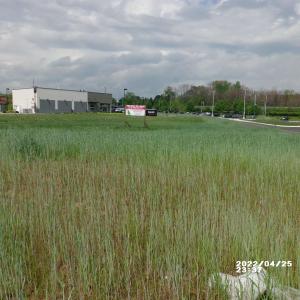 Photo #3 of 850 SHENANDOAH VILLAGE DR, WAYNESBORO, VA 0.7 acres