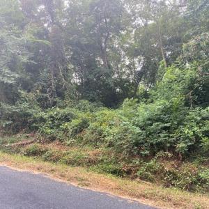 Photo #4 of Lot 8 MINK FARM RD, ONANCOCK, VA 6.3 acres