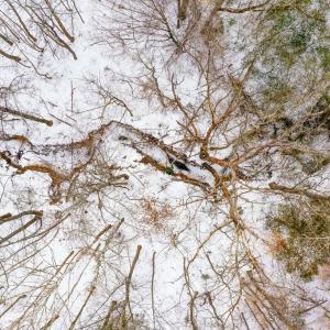 Photo #10 of 15 Farmville Road, Farmville, VA 74.4 acres