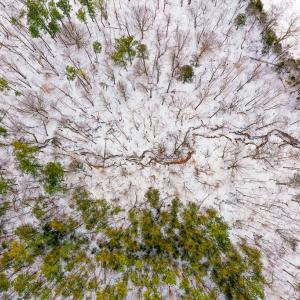 Photo #11 of 15 Farmville Road, Farmville, VA 74.4 acres