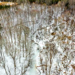 Photo #3 of 15 Farmville Road, Farmville, VA 74.4 acres