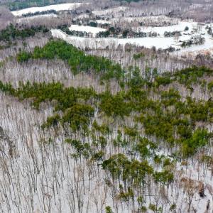 Photo #5 of 15 Farmville Road, Farmville, VA 74.4 acres