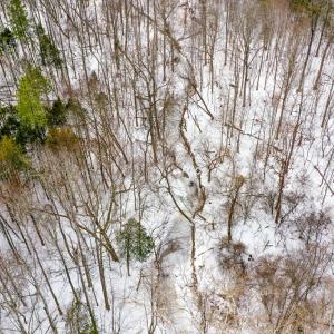 Photo #9 of 15 Farmville Road, Farmville, VA 74.4 acres