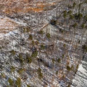 Photo #2 of Abilene Rd, Prince Edward, VA 11.0 acres