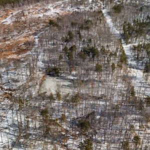 Photo #3 of Abilene Rd, Prince Edward, VA 11.0 acres