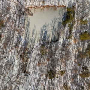 Photo #4 of Abilene Rd, Prince Edward, VA 11.0 acres