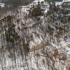 Photo #7 of Abilene Rd, Prince Edward, VA 11.0 acres