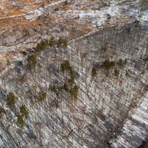 Photo #5 of Abilene Rd, Prince Edward, VA 11.0 acres