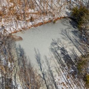 Photo #8 of Abilene Rd, Prince Edward, VA 11.0 acres