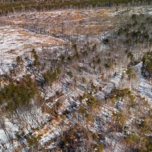 Photo #9 of Abilene Rd, Prince Edward, VA 11.0 acres