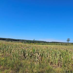 Photo #13 of Glenmore Road, Scottsville, VA 1,202.0 acres