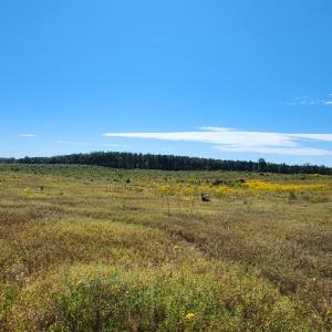 Photo #14 of Glenmore Road, Scottsville, VA 1,202.0 acres