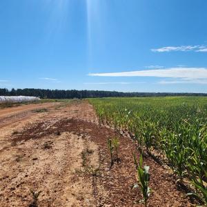 Photo #2 of Glenmore Road, Scottsville, VA 1,202.0 acres