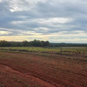 Photo #21 of Glenmore Road, Scottsville, VA 1,202.0 acres