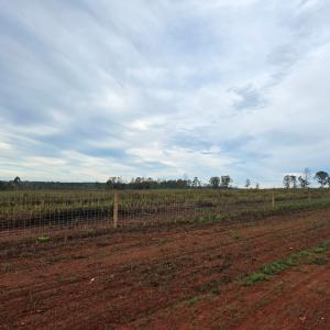 Photo #22 of Glenmore Road, Scottsville, VA 1,202.0 acres