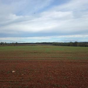 Photo #23 of Glenmore Road, Scottsville, VA 1,202.0 acres