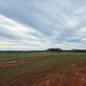 Photo #24 of Glenmore Road, Scottsville, VA 1,202.0 acres