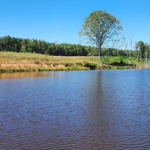 Photo #4 of Glenmore Road, Scottsville, VA 1,202.0 acres