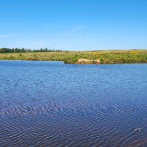 Photo #5 of Glenmore Road, Scottsville, VA 1,202.0 acres