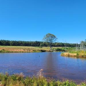 Photo #6 of Glenmore Road, Scottsville, VA 1,202.0 acres