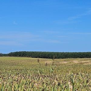 Photo #7 of Glenmore Road, Scottsville, VA 1,202.0 acres