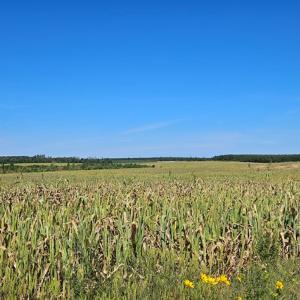 Photo #9 of Glenmore Road, Scottsville, VA 1,202.0 acres