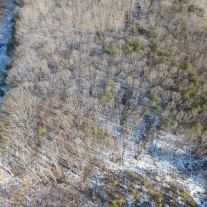 Photo #21 of O Five Forks Road, Pamplin, VA 4.5 acres
