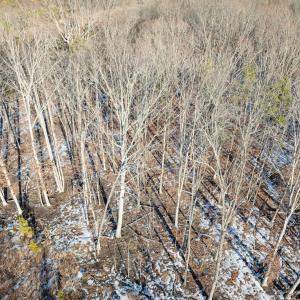 Photo #23 of O Five Forks Road, Pamplin, VA 4.5 acres