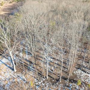 Photo #24 of O Five Forks Road, Pamplin, VA 4.5 acres