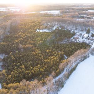 Photo #2 of Bakers Circle Road, Cullen, VA 3.7 acres