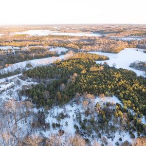 Photo #3 of Bakers Circle Road, Cullen, VA 3.7 acres