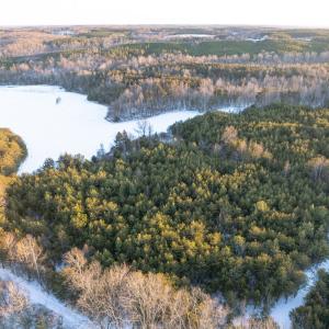 Photo #4 of Bakers Circle Road, Cullen, VA 3.7 acres