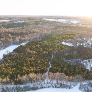 Photo #6 of Bakers Circle Road, Cullen, VA 3.7 acres